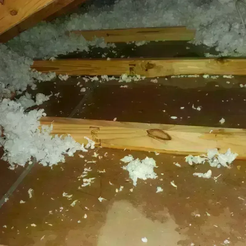 Attic Water Damage in Hanamaulu, HI